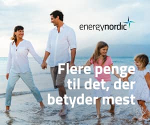 300x250 Energy Nordic banner