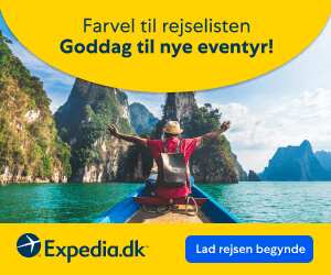 300x250 Expedia banner