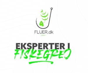 300x250 Fluer banner