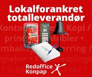 300x250 RedOffice Konpap banner