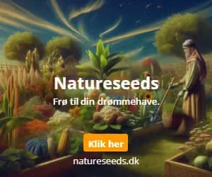 300x250 Natureseeds banner