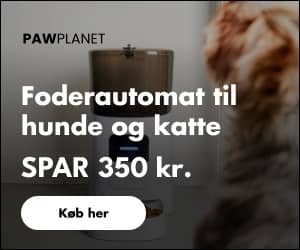 300x250 Pawplanet banner