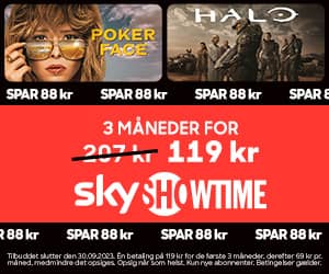 300x250 Sky Showtime  banner